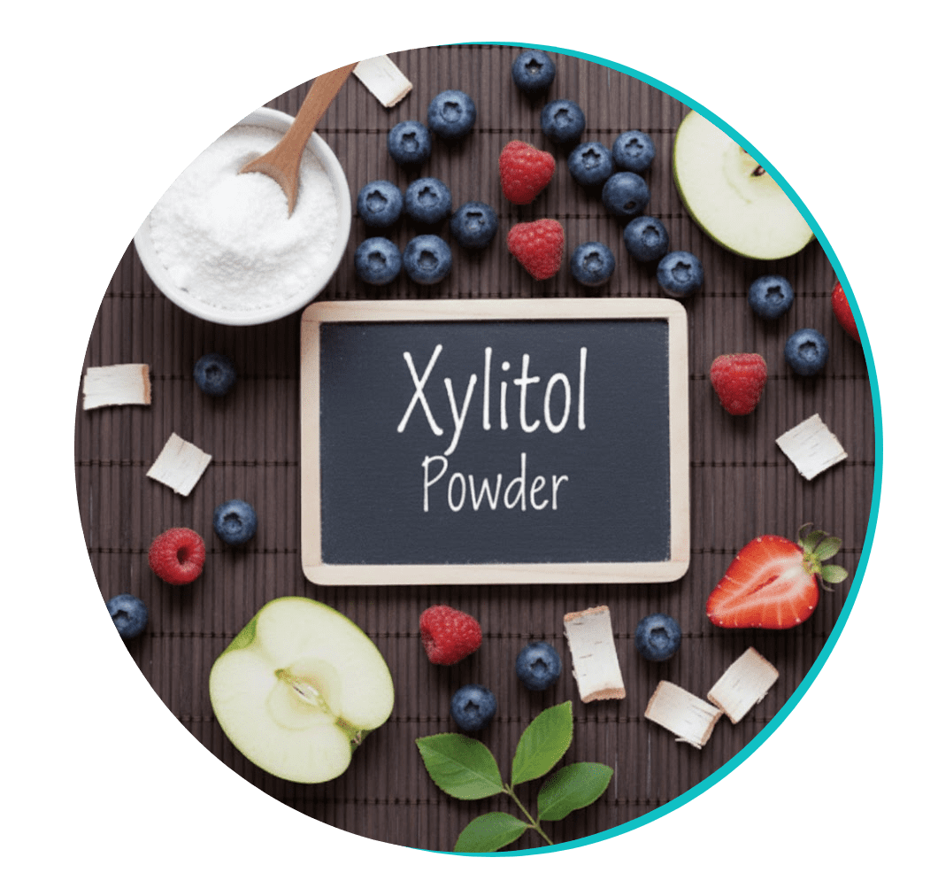 BioDentex ingredient Xylitol powder